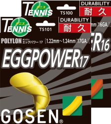 EGG POWER 16、17